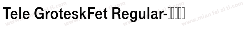 Tele GroteskFet Regular字体转换